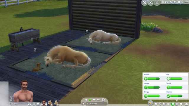 Animals Sleeping in Sims 4 Horse Ranch