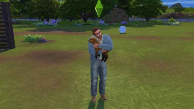 Hugging an animal in Sims 4 Horse Ranch