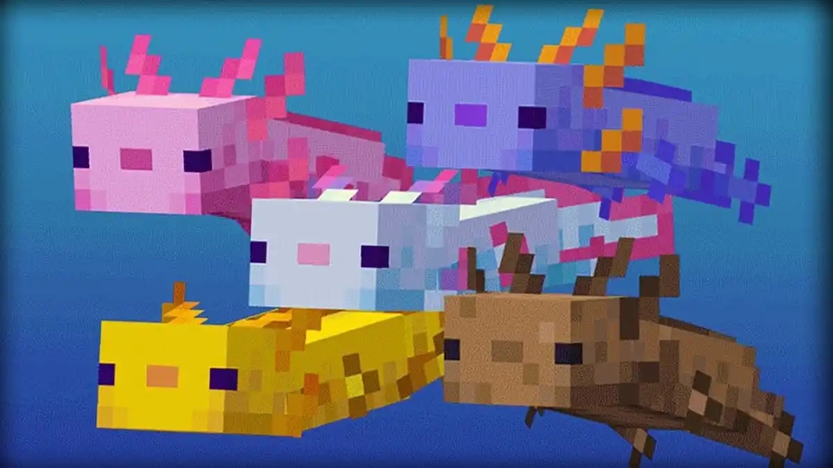 what do axolotls eat in minecraft answered